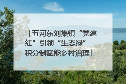 五河东刘集镇“党建红”引领“生态绿” 积分制赋能乡村治理